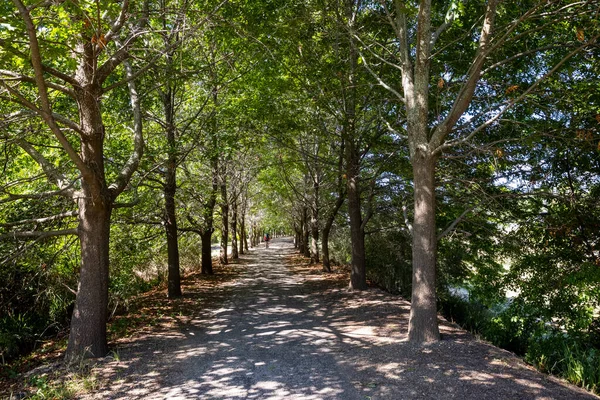 A cycle and walking trail in the historic town of Beechworth, Victoria, Australia