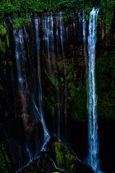 Ein Malerischer Blick Auf Wasserfälle Wald Lumajang Ostjava — Stockfoto