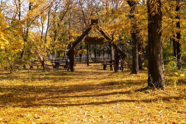 Autumn Park Full Dry Leaves — Stock Photo, Image