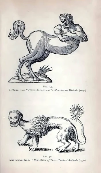19Th Century Illustration Centaurs Alchemy Textbook — Stock Photo, Image