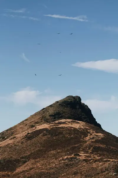 Paisaje Espeluznante Pájaros Volando Sobre Una Montaña — Foto de Stock