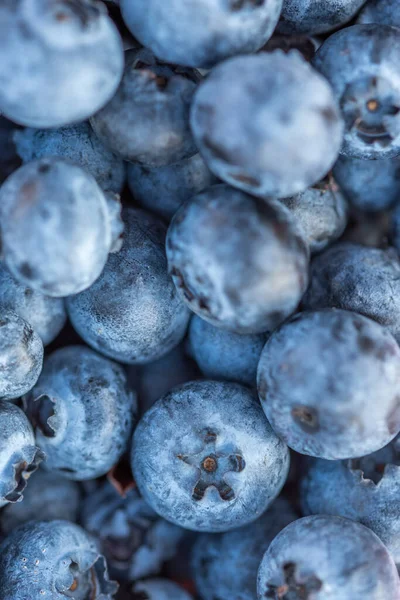 Primer Plano Deliciosos Saludables Arándanos Orgánicos —  Fotos de Stock