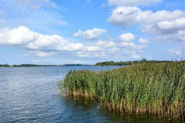 Bulutlu gökyüzünün altındaki tarlada sakin bir gölün manzaralı bir görüntüsü.