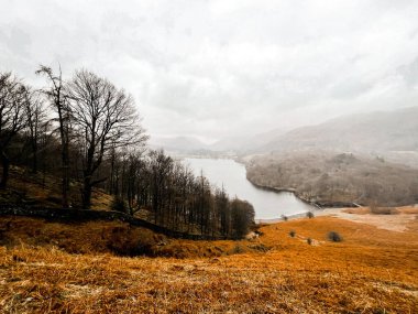 İngiltere 'nin Ambleside kentinde Lake District Ulusal Parkı yakınlarında kurumuş bir arazinin manzarası.