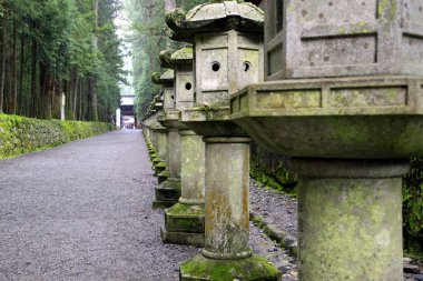 Nikko Ulusal Parkı 'nda bir ara sokak, Kanto bölgesi, Japonya