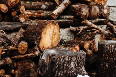 Açık havada istiflenmiş kütüklerin ve odunların yakın plan çekimi.