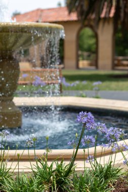 Amerika 'daki Stanford Üniversitesi' nin dış alanının güzel bir görüntüsü.