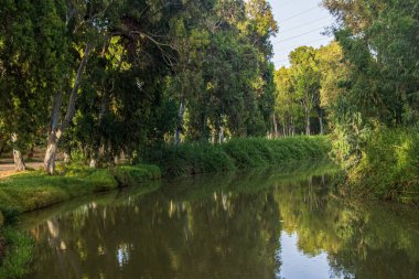 Büyük ağaçlarla çevrili güzel bir göl manzarası.