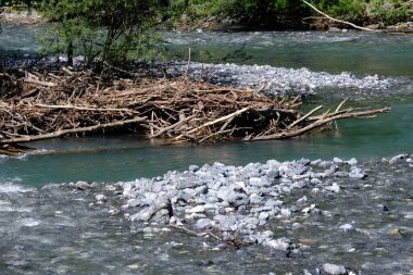 Yeşilliklerle çevrili bir ırmağın yüksek açılı görüntüsü.