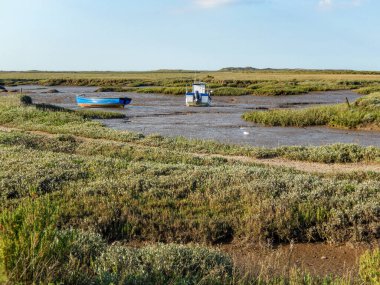 Etrafı tarlalarla çevrili bir su akıntısının manzaralı görüntüsü.