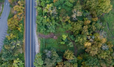 New York 'ta yeşilliklerle kaplı bir parktaki bir yolun havadan çekilmiş görüntüsü.