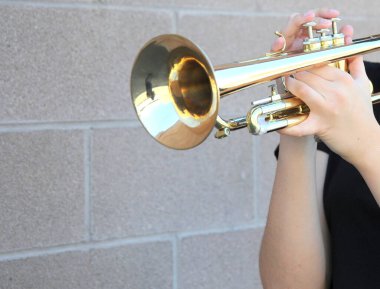 Elinde trompet tutan birinin manzaralı bir resmi.