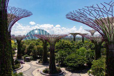 Singapur 'daki Bay Park' ın yanındaki bahçelerin manzarası.