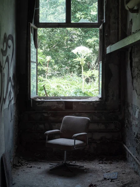 Terk Edilmiş Bir Evden Bir Sandalyeden Pencere Manzarası — Stok fotoğraf