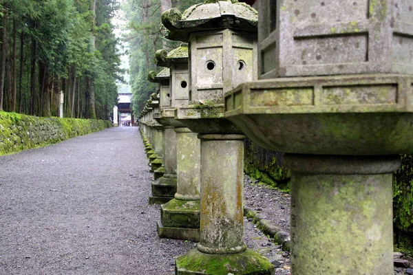 Ένα Δρομάκι Στο Γραφικό Εθνικό Πάρκο Nikko Περιοχή Kanto Ιαπωνία — Φωτογραφία Αρχείου