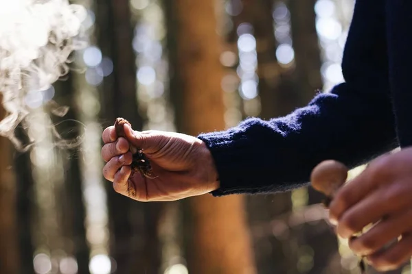 Eine Nahaufnahme Der Hand Eines Mannes Der Einen Pilz Mit — Stockfoto