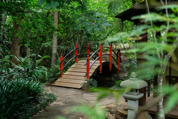 Krásná Japonská Botanická Zahrada Tamborine Austrálie — Stock fotografie