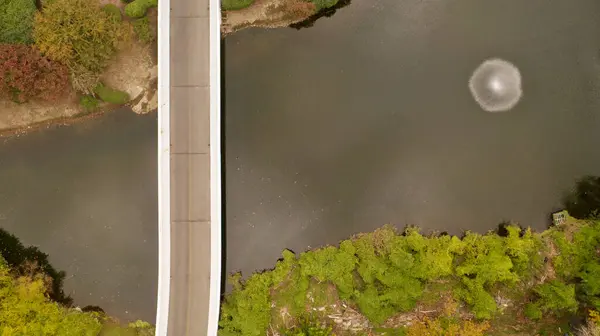 Aerial Shot Bridge Road Pond Sunny Day Purchase New York — Stock Photo, Image