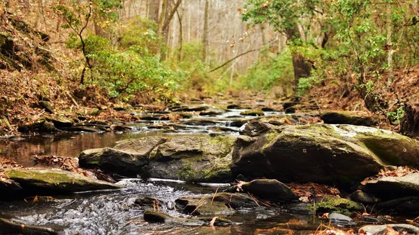 Una Hermosa Vista Río Fluye Sobre Rocas Través Del Bosque — Foto de Stock