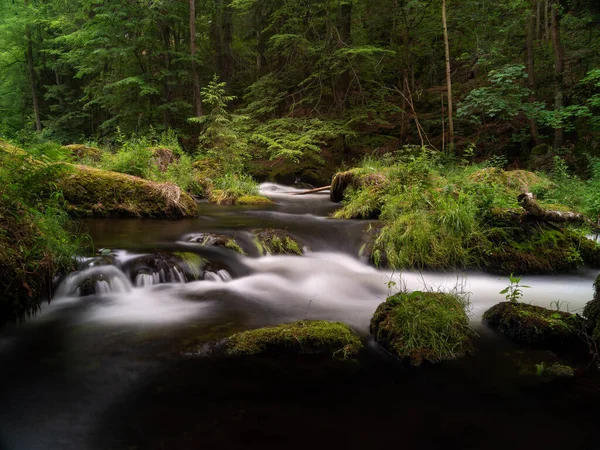 Una Splendida Vista Fiume Con Forte Corso Acqua Circondato Alberi — Foto Stock