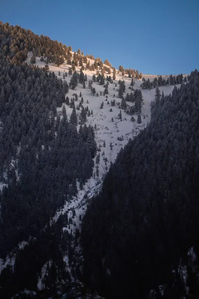 Μια Κάθετη Βολή Ενός Βουνού Κάτω Από Τον Καθαρό Ουρανό — Φωτογραφία Αρχείου