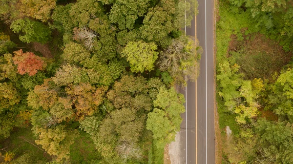 Vue Aérienne Une Route Dans Parc Recouvert Verdure New York — Photo