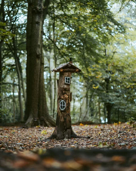 Una Bella Vista Ramo Albero Legno Con Mangiatoia Uccelli Giardino — Foto Stock