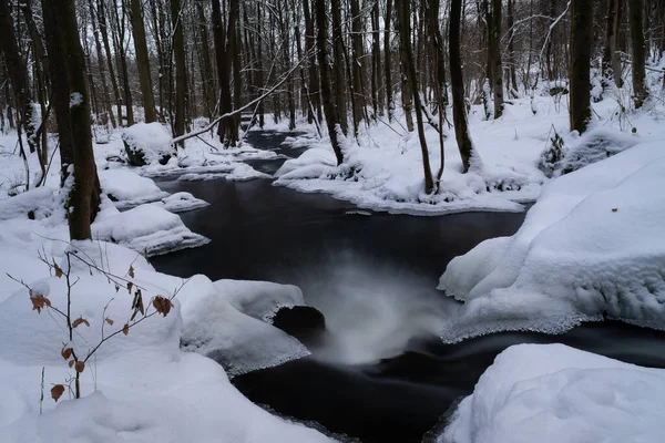 Eine Schöne Aufnahme Eines Gefrorenen Flusses Einem Wald — Stockfoto