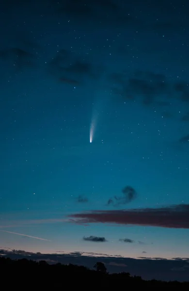 Vertical Shot Comet 2020 Neowise Night Sky Stock Image