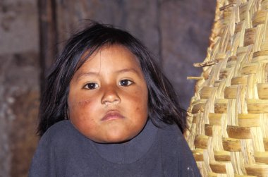 Otavalo, Ekvador 'da yaşayan sevimli bir çocuğun portresi.
