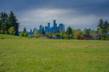 Arka planda Seattle şehir merkeziyle Jefferson Park 'a yakın çekim.