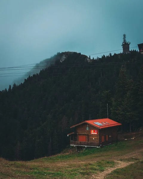 Una Cabaña Salvadores Montaña Las Montañas Boscosas Brasov Rumania — Foto de Stock