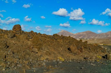 Lanzarote 'de gündüz manzaralı bir plaj.