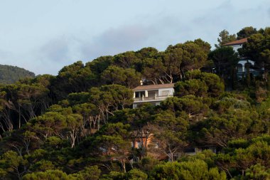 İspanya 'nın Costa Brava kentindeki ağaçlarla çevrili lüks bir evin alçak açılı bir görüntüsü.