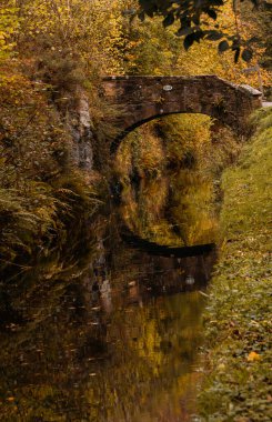Ormandaki bir nehrin üzerindeki köprüye yakın çekim.