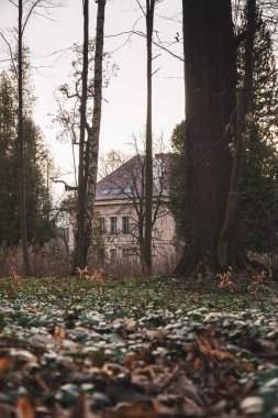 Ağaçlarla çevrili büyük bir evin güzel bir fotoğrafı.