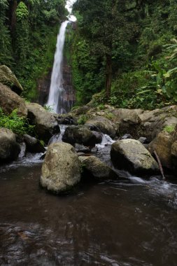 Ağaçlarla çevrili güzel bir şelale görüntüsü.