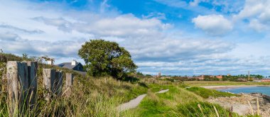 Gölün kıyısının güzel bir görüntüsü.