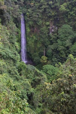 Güneşli bir günde, ormanın ortasında nefes kesici bir şelale manzarası.