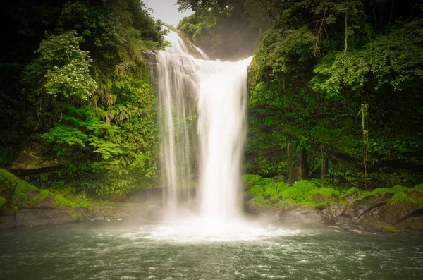 Una Vista Panorámica Una Cascada Exuberante Selva Tropical Verde —  Fotos de Stock