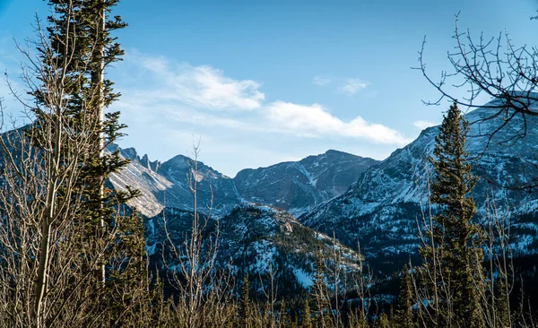 Widok Drzew Tle Estes Park Skaliste Góry Kolorado Zimą — Zdjęcie stockowe