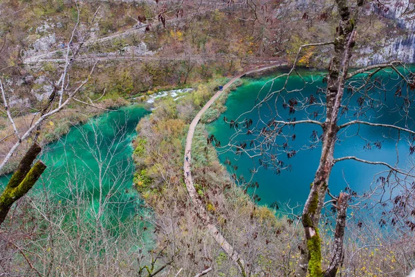 Hırvatistan Sakin Plitvice Gölünün Çıplak Ağaç Önplanlı Manzarası — Stok fotoğraf