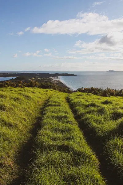 Okyanusun Arka Planında Yeşil Çimlerle Kaplı Bir Kıyı Şeridinin Dikey — Stok fotoğraf