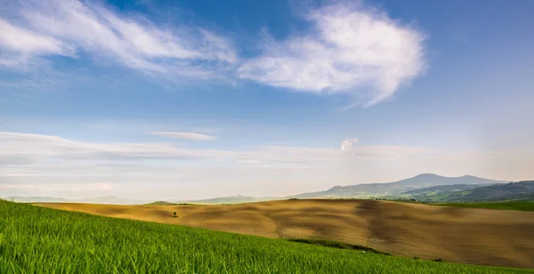 Una Vista Panorámica Del Paisaje Toscano Italia Bajo Cielo Tenue —  Fotos de Stock