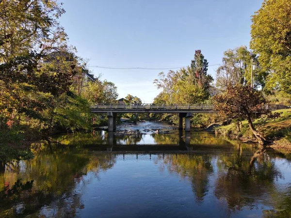 Nehrin Üzerine Inşa Edilmiş Bir Köprü Ormanın Içinden Akıyor — Stok fotoğraf