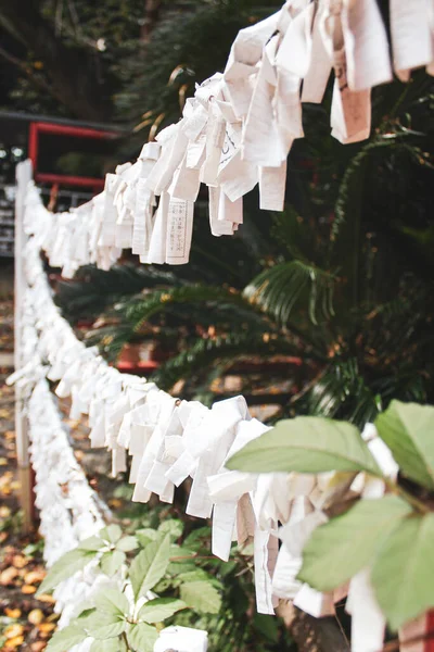 Tiro Vertical Adivinhação Japonesa Omikuji Templo Japonês Tóquio Japão — Fotografia de Stock