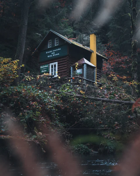 Ένα Κάθετο Πλάνο Ενός Σπιτιού Καμπίνας Στο Δάσος Στο Hrensko — Φωτογραφία Αρχείου