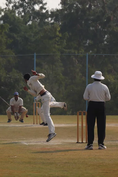 Eine Nahaufnahme Eines Cricketspiels Hyderabad Collage — Stockfoto