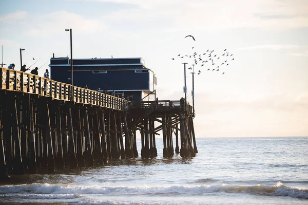 Grupo Pessoas Velha Doca Madeira Newport Beach Califórnia — Fotografia de Stock