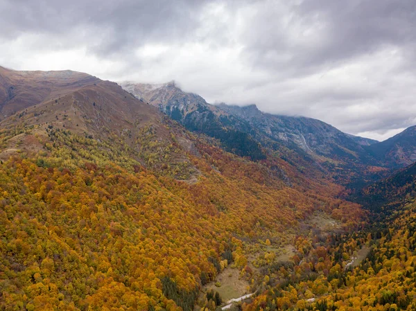 秋天保加利亚莱拉山脉的风景 — 图库照片